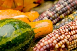 Multicolored gourds and maize to represent the fall harvest season